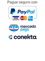 Pague seguro con: PayPal(Visa, Mastercard y American express), Mercado pago o Conekta.