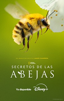 La tierra en Disney Plus con Telmex